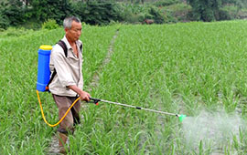 China-Bauer-sprühen-Pestizide