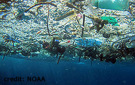 Die Meere ertrinken im Müll