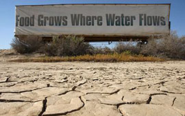 Dürre-Landschaft-Wassermangel