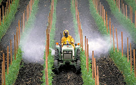 Traktor-versprüht-Pestizide-auf-Feld