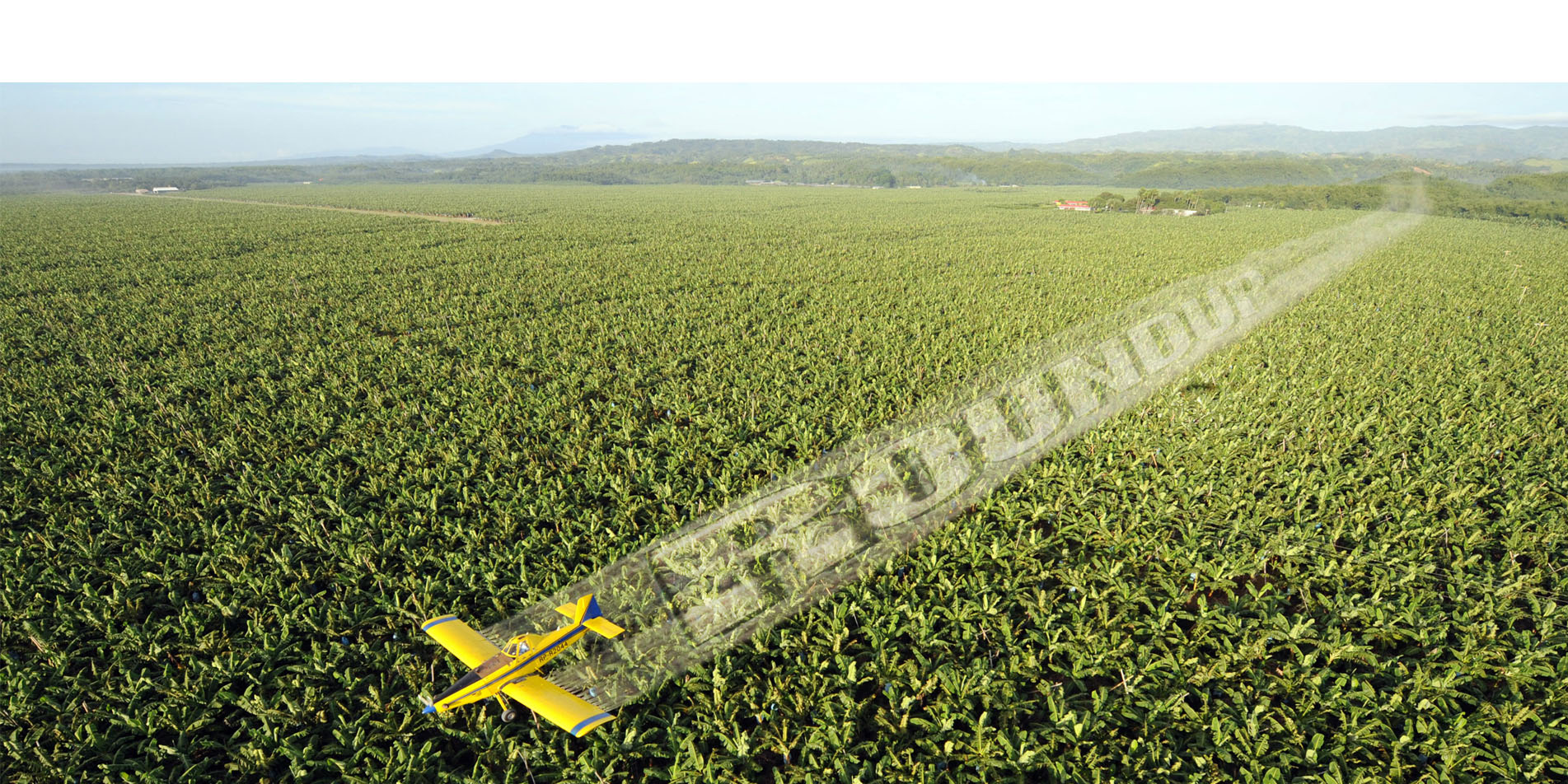 Monsanto und Bayer kämpfen gegen Pestizid-Verbote in den USA