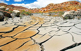 Nestlé saugt Wüstenregion in Kalifornien aus